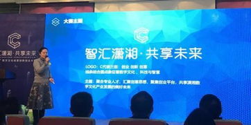 数字文化创意创新创业大赛正式启动，以软件开发为引擎助推湖南文化产业高质量发展